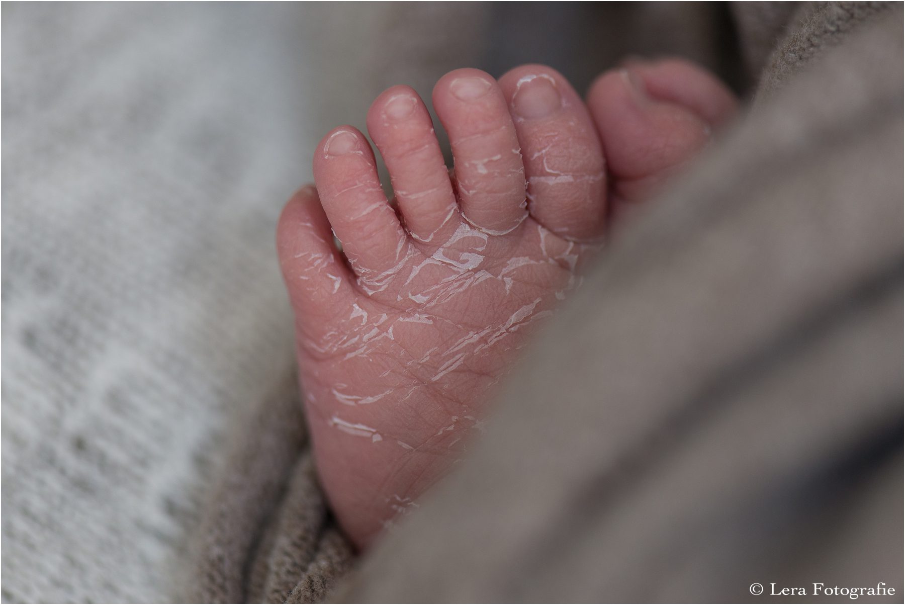 newbornfotograaf amsterdam