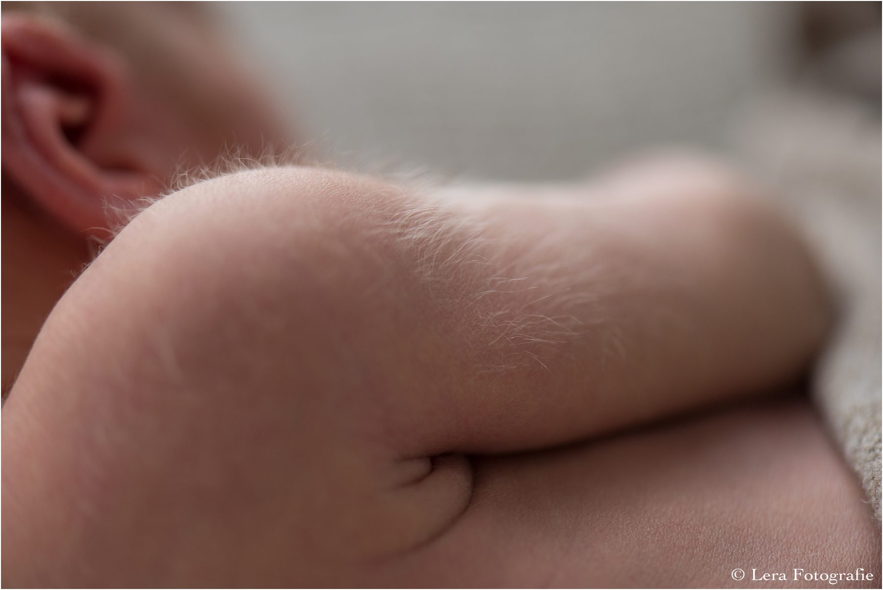 newbornfotograaf amsterdam