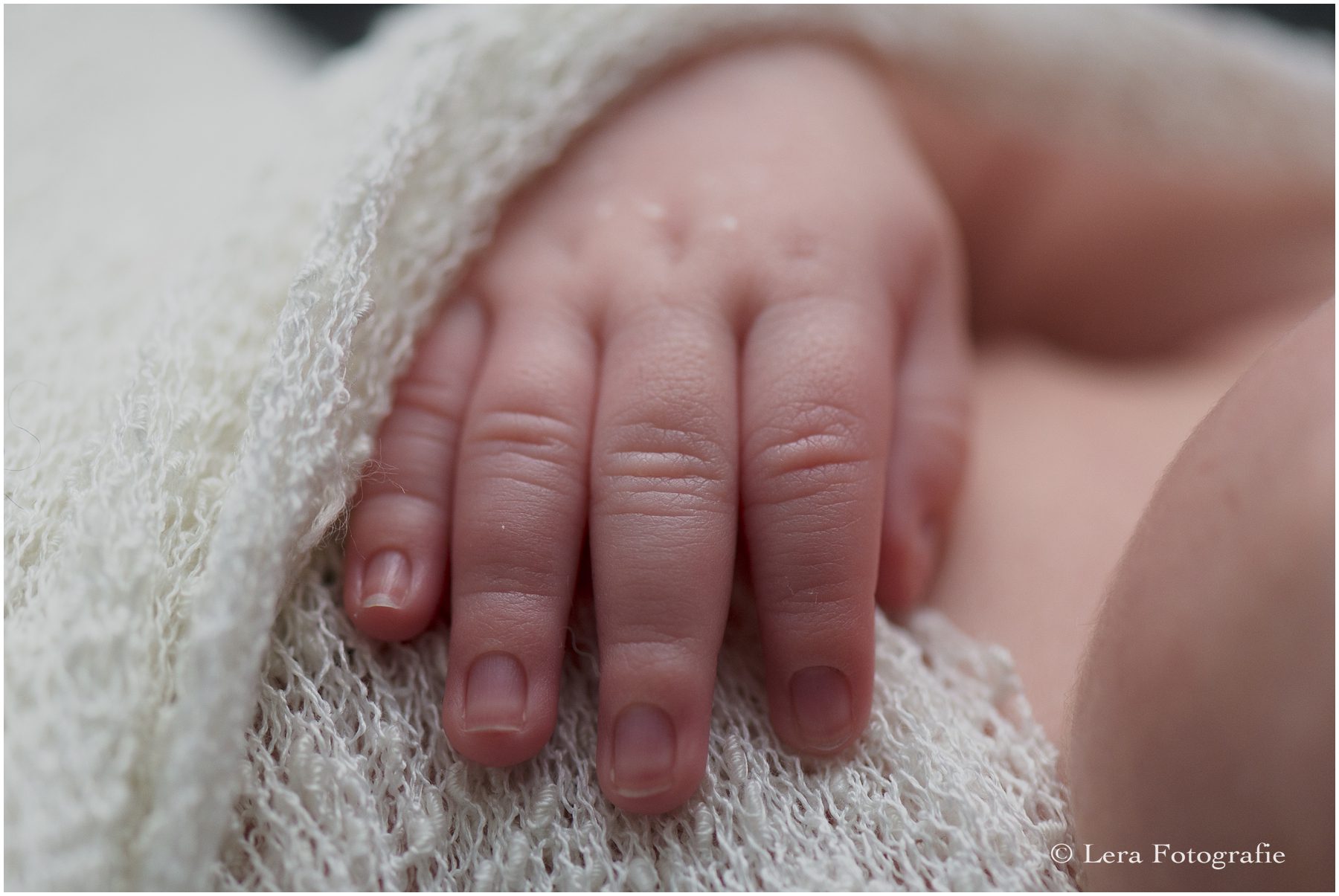 pasgeboren baby fotografie amsterdam