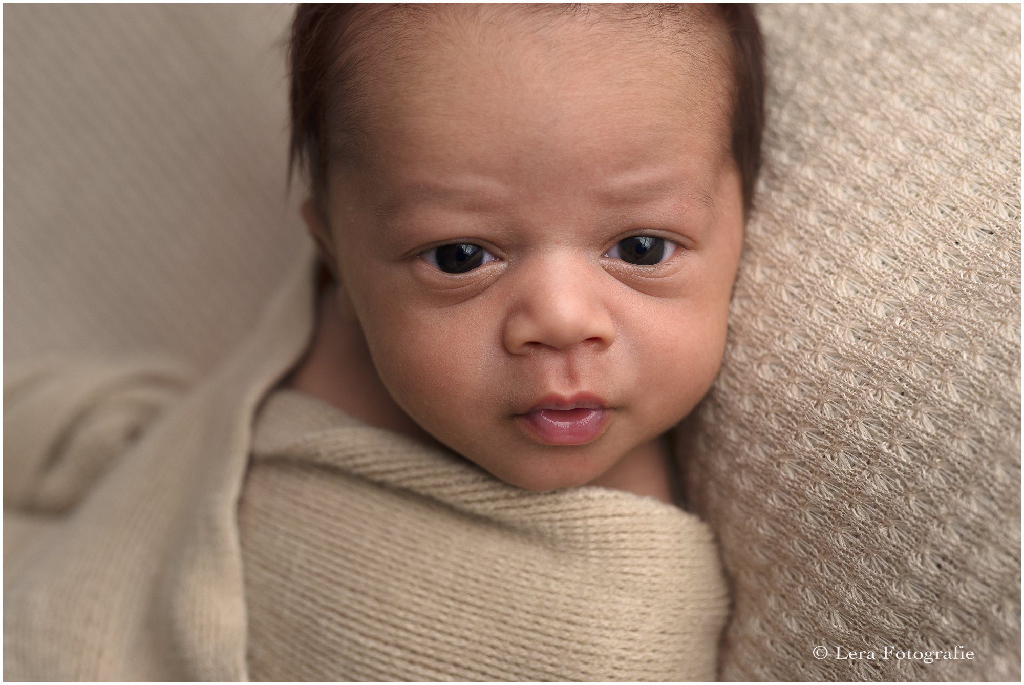 newborn fotografie hoofddorp