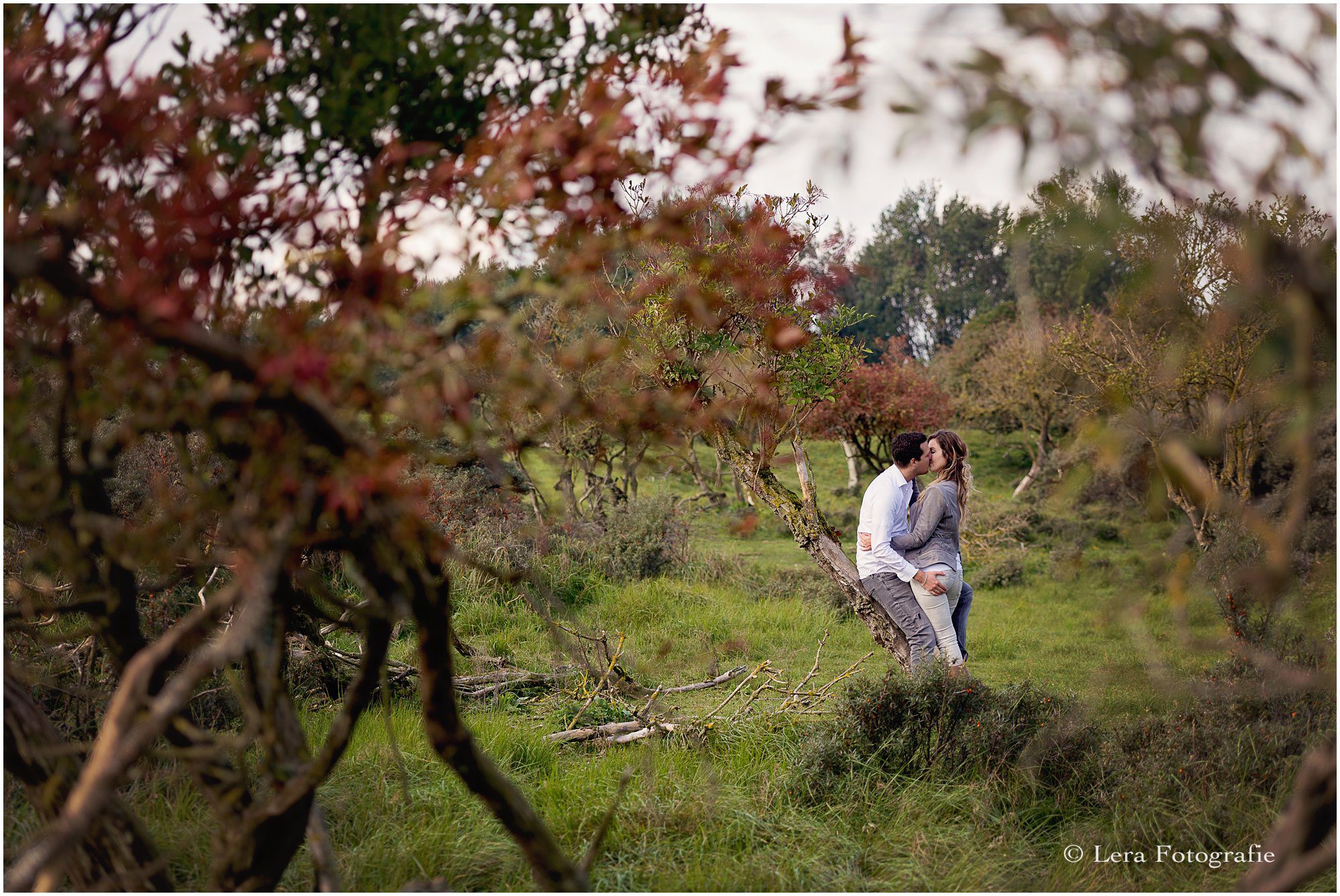 loeveshoot in de duinen