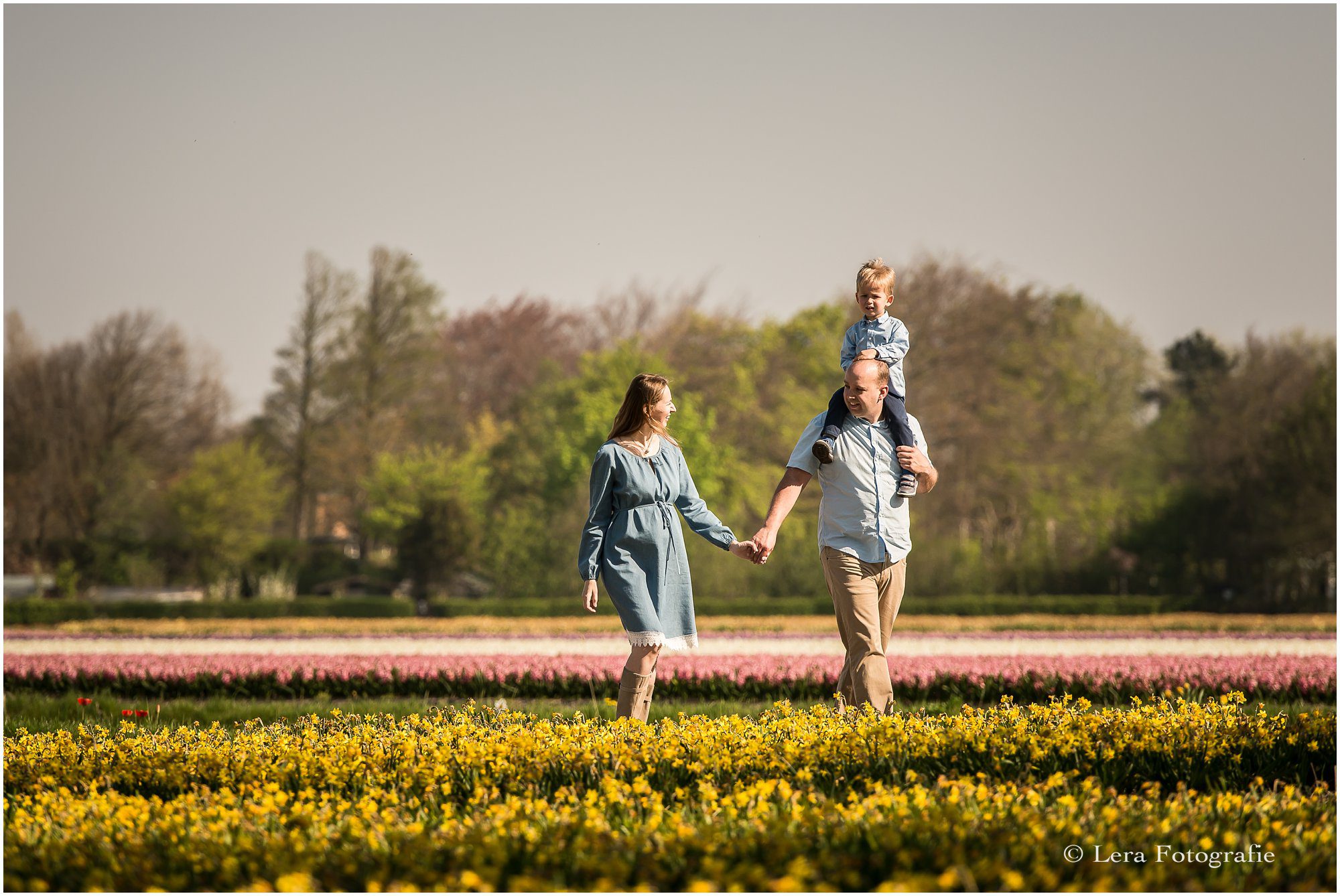fotoshoot tusen de bloeiende bollenvelden