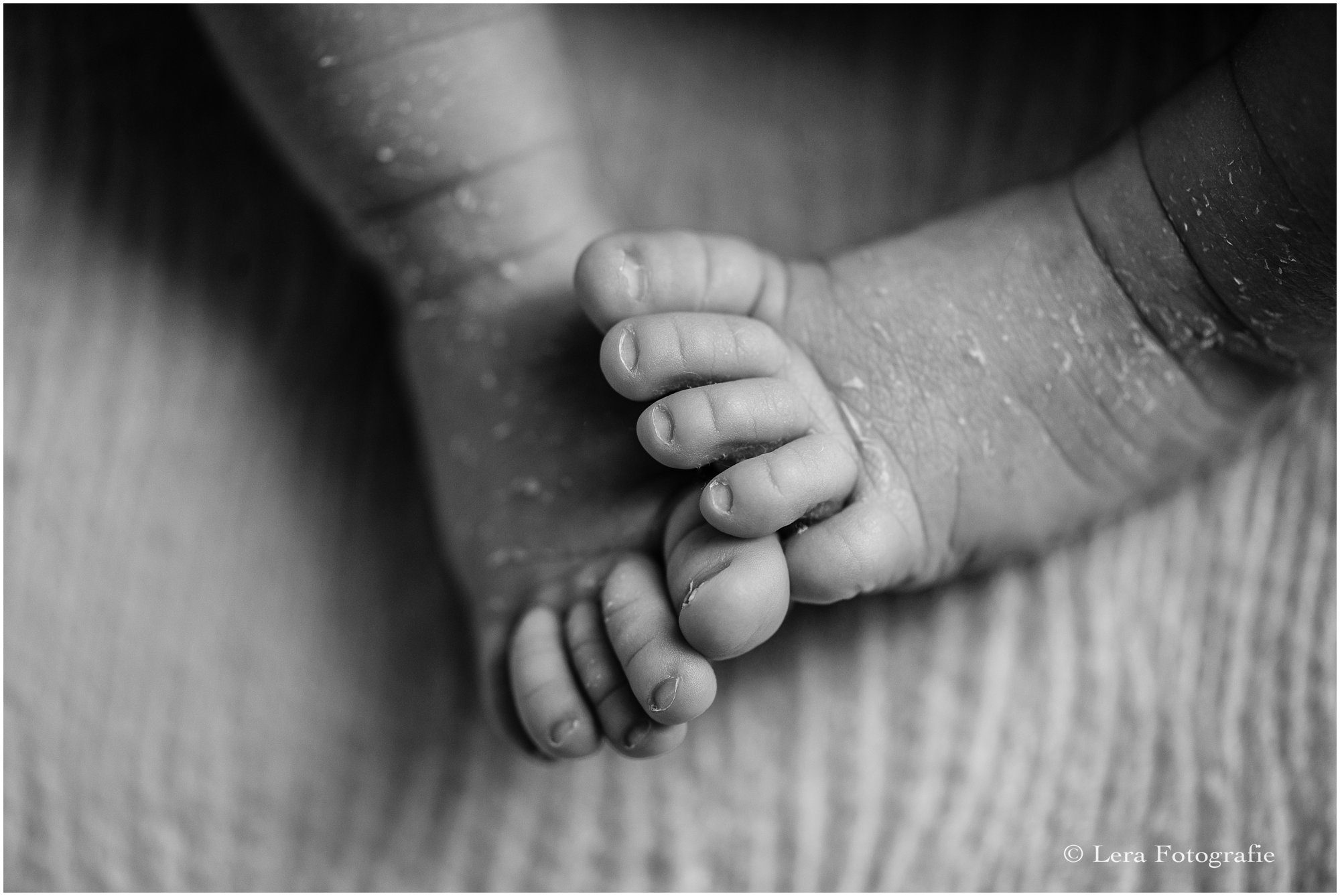 Newborn fotograaf in hillegom