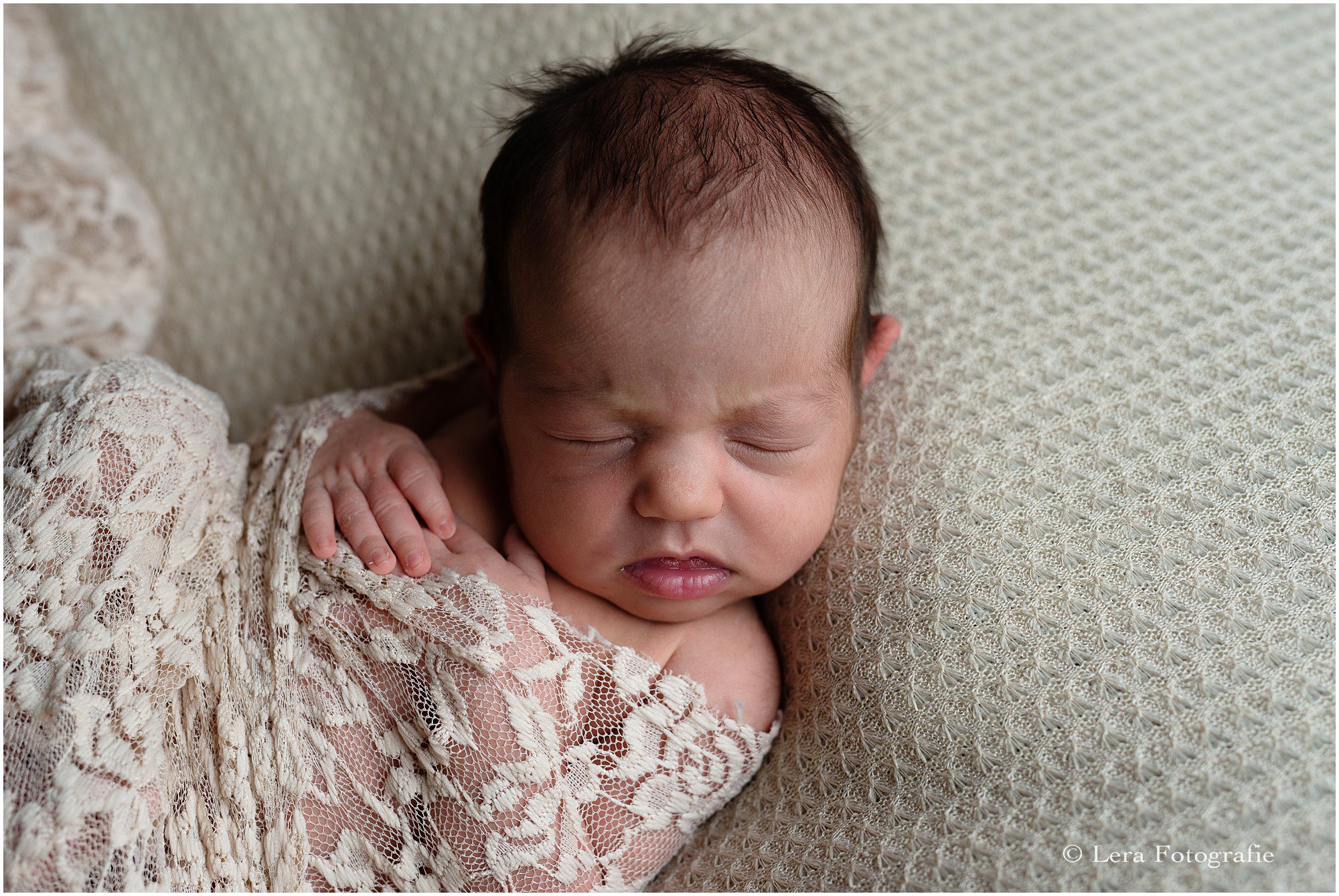 newborn fotoshoot zaandam