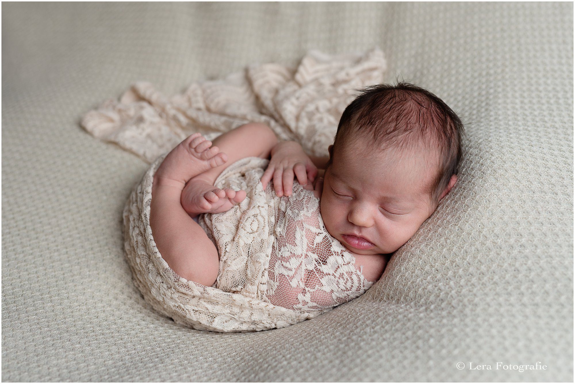 newbornfotografie zaandam