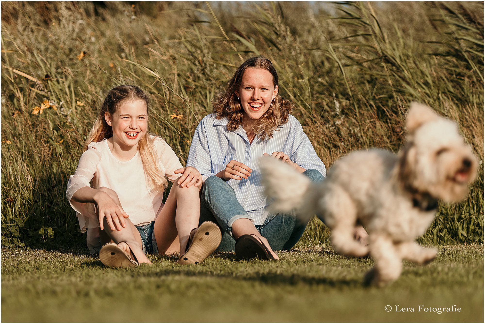 wanneer de hond niet op de foto wil